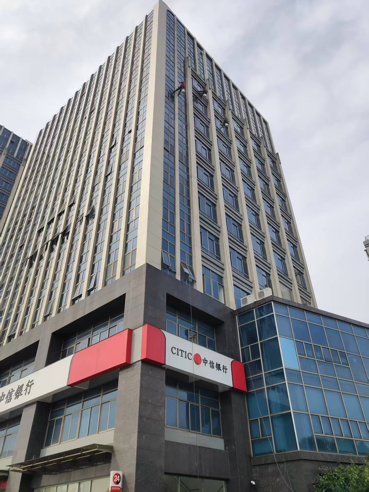 绿化种植、养护服务现场