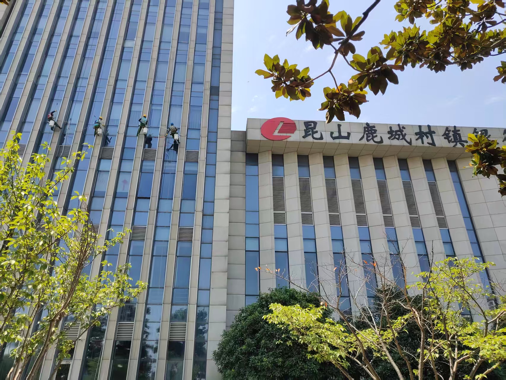 绿化种植、养护服务资料图片 2
